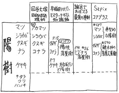 陰木|陰樹と陽樹の違いと代表的な樹木 